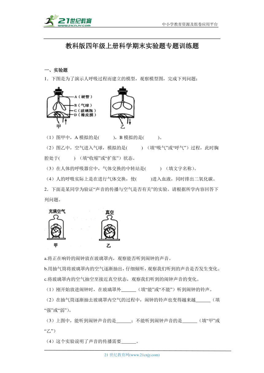 教科版四年级上册科学期末实验题专题训练题（含答案）