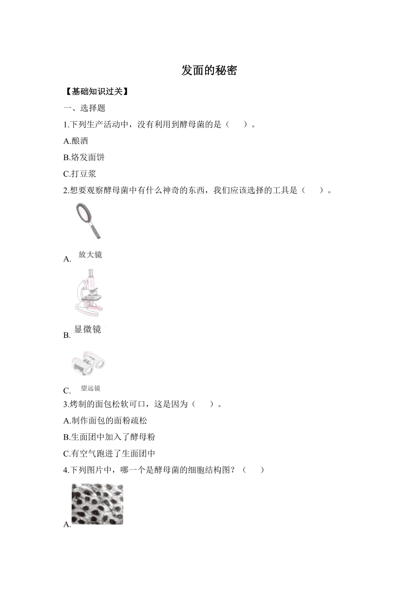 大象版科学六年级上册1.2《发面的秘密》同步作业（含答案）