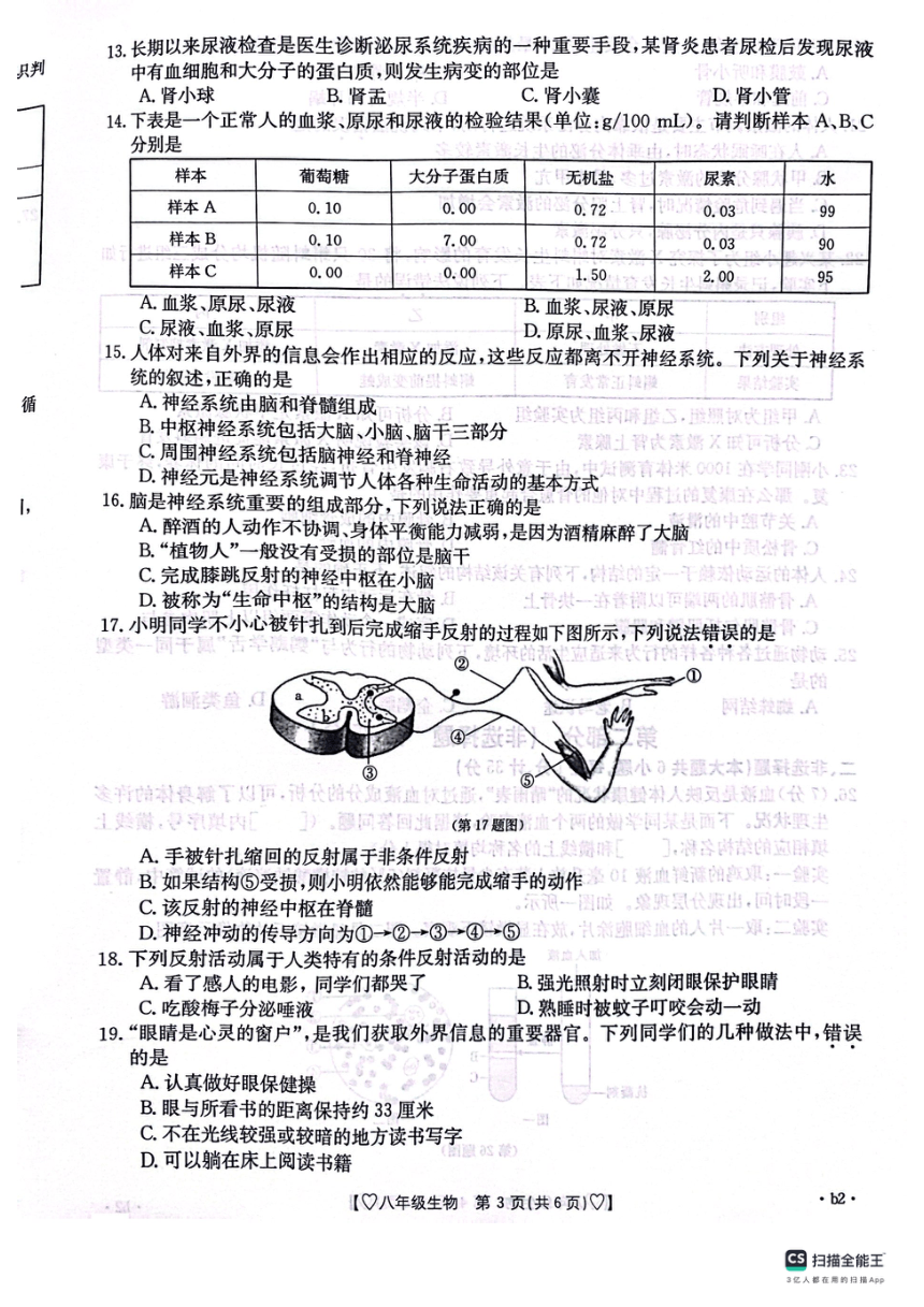 陕西省安康市汉滨初级中学2023-2024学年八年级上学期期中测评生物学试卷（pdf版无答案）