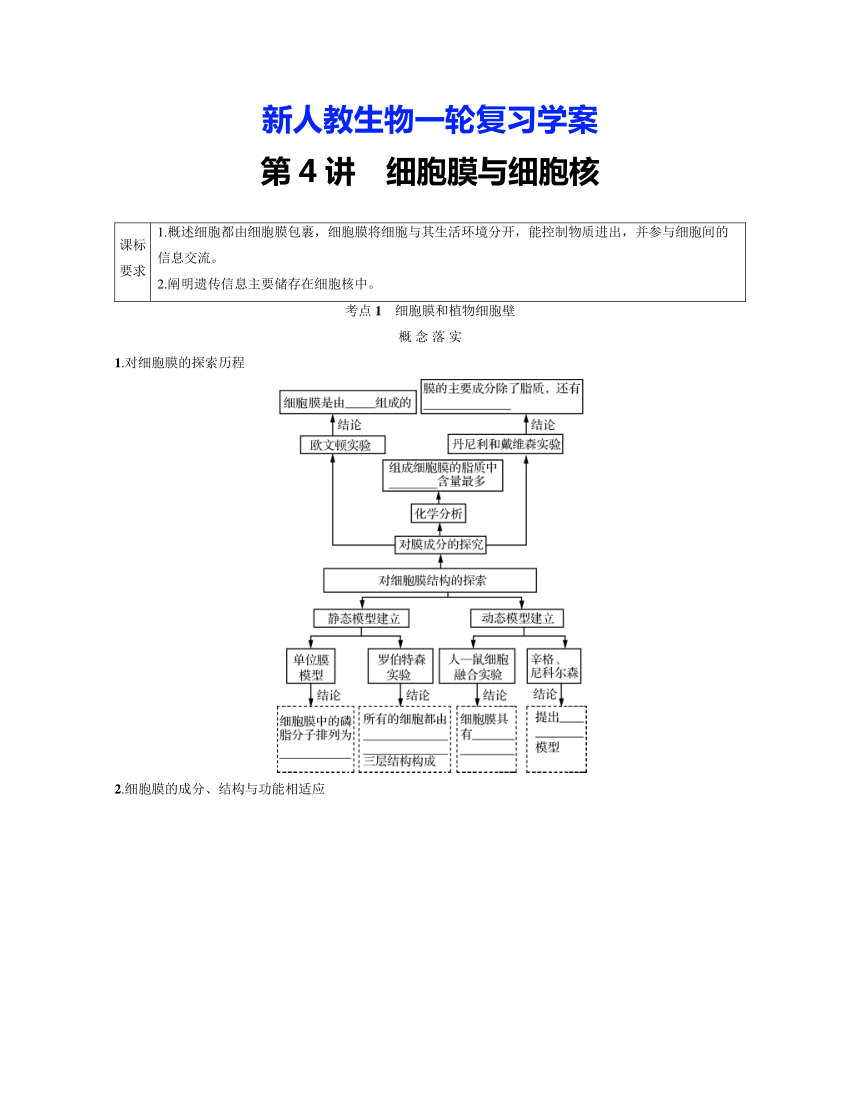 新人教生物一轮复习学案：第4讲　细胞膜与细胞核（含答案解析）