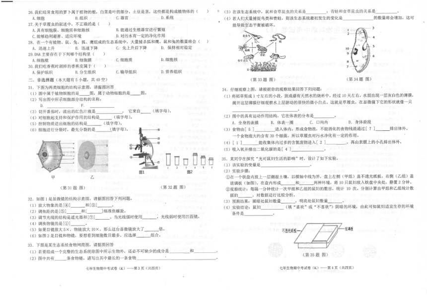 广东省汕头市潮南区陈店镇初中七校联考2023-2024学年七年级上学期期中生物试题（PDF版 含答题卡和答案）