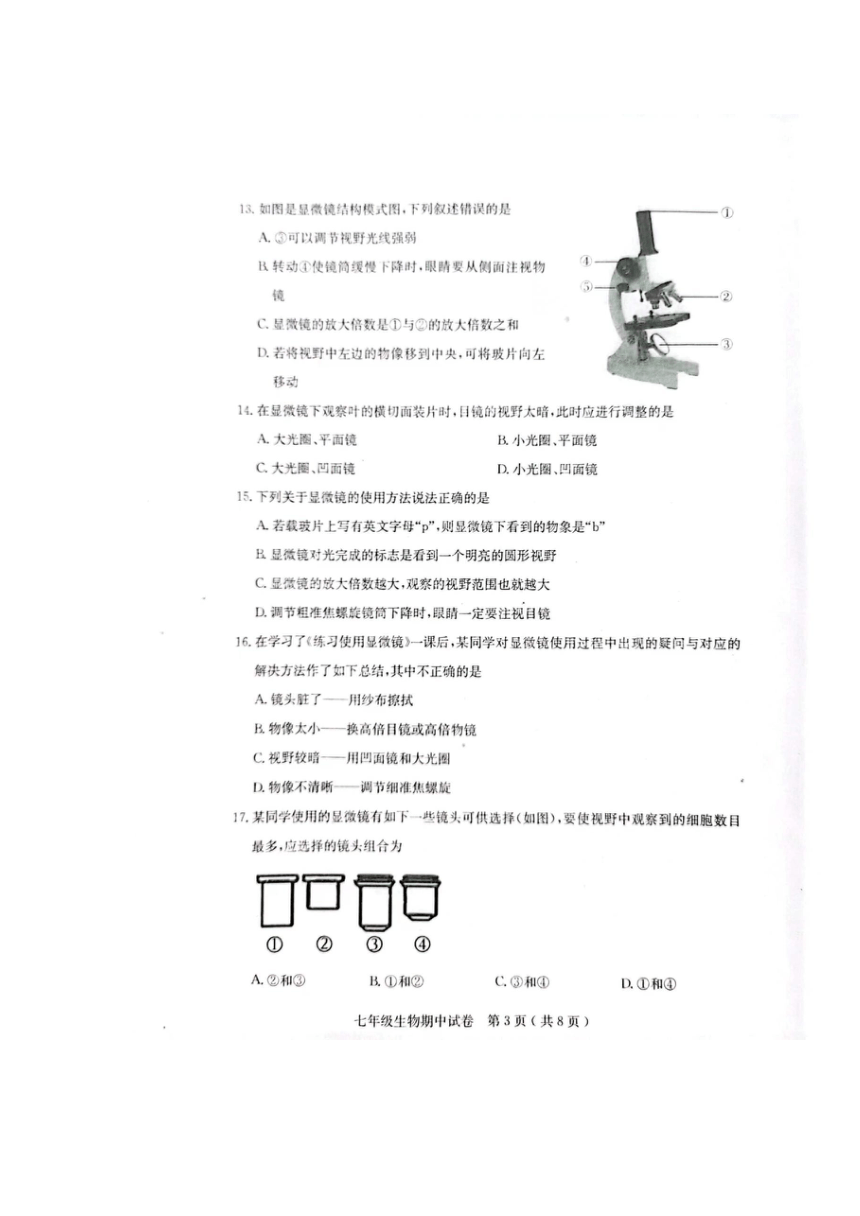 广东省茂名市电白区2023-2024学年七年级上学期期中生物试卷（图片版 有答案）