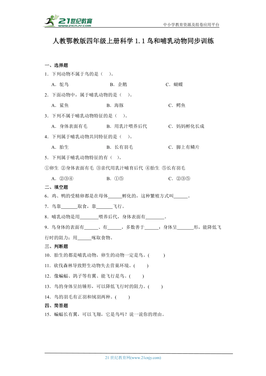 人教鄂教版四年级上册科学1.1鸟和哺乳动物 同步训练（含答案）