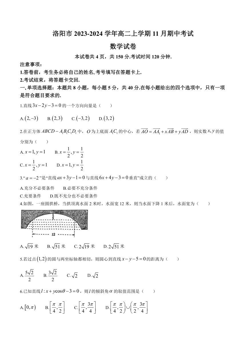 河南省洛阳市2023-2024学年高二上学期11月期中考试数学试题（含答案）