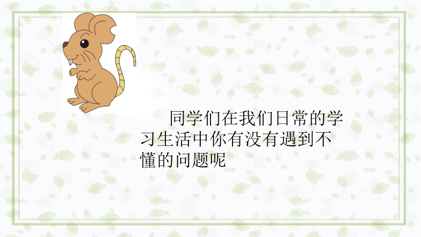 3《不懂就要问》课件(共23张PPT)