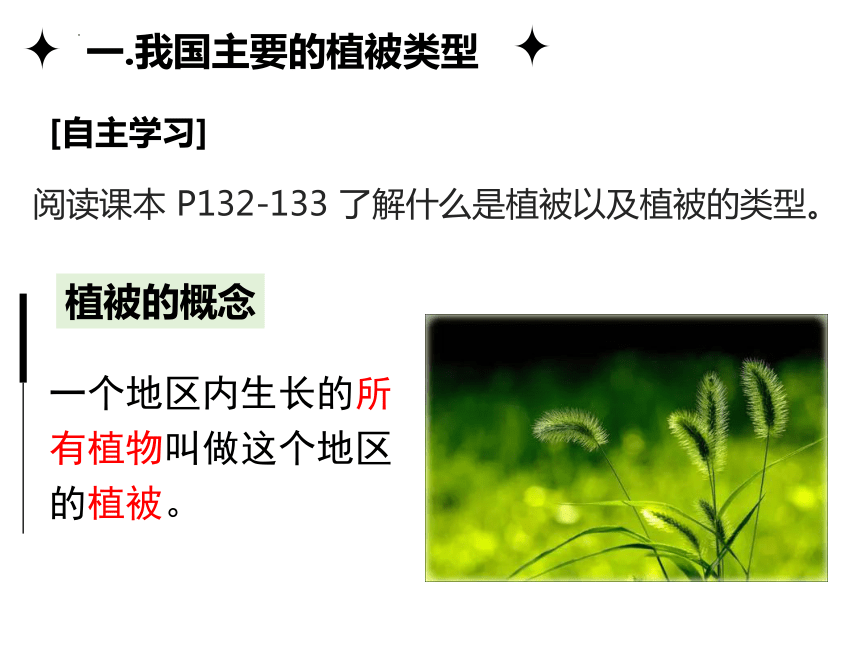 3.6 爱护植被，绿化祖国-2023-2024学年七年级生物上册同步教学精品课件（人教版）(共19张PPT)