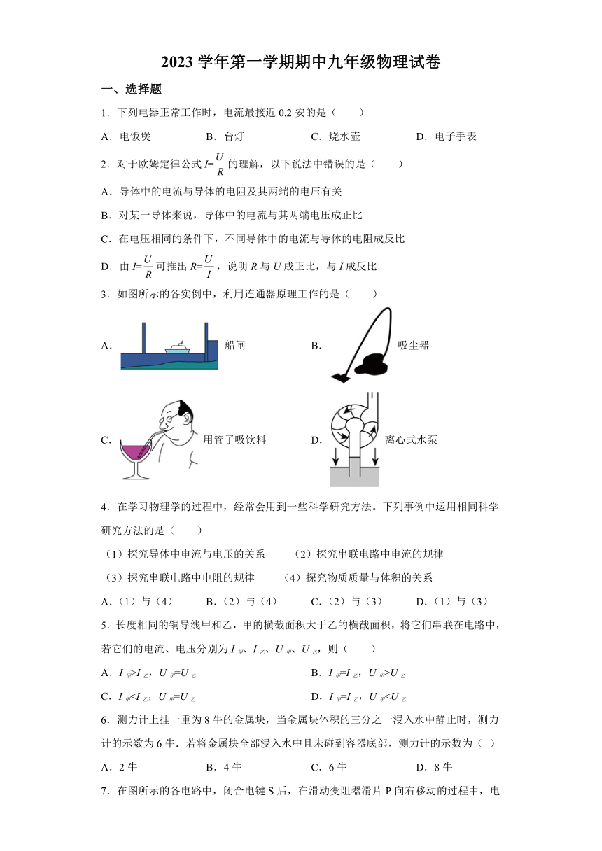 上海市宝山区彭浦初级中学2023-2024学年九年级上学期期中考试物理试卷（含解析）