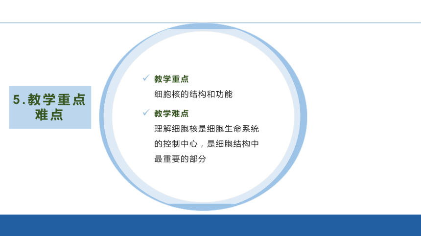 3.3细胞核的结构和功能说课课件(共20张PPT2份视频)2023-2024学年高一上学期生物人教版必修1