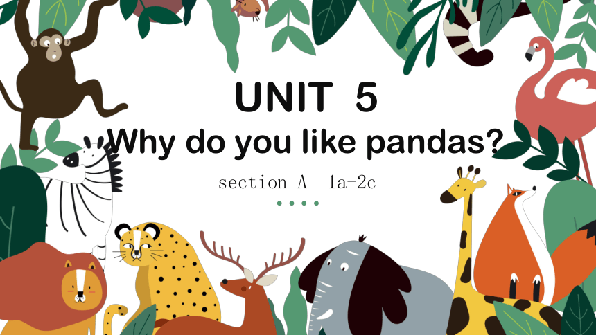 Unit 5 Why do you like pandas？Section A 1a-2c (共39张PPT，内嵌音频)-21世纪教育网