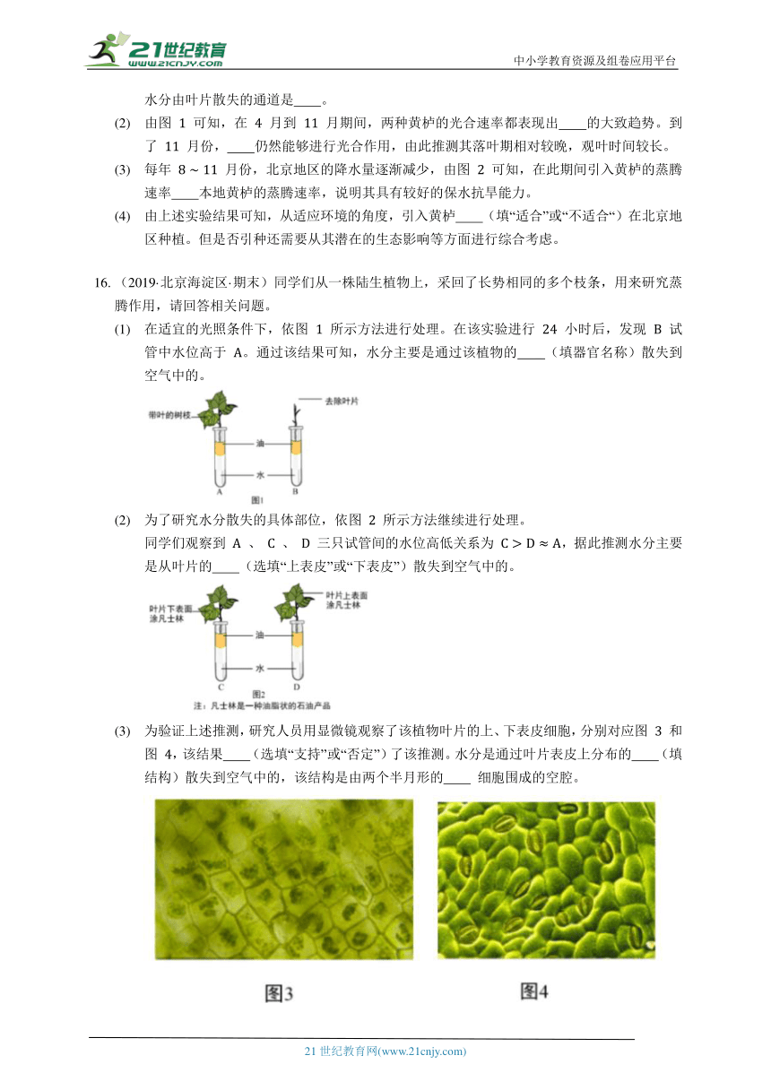 2023-2024学年初中生物苏科版八年级上册18.1绿色植物与生物圈的水循环同步练习（答案+解析）