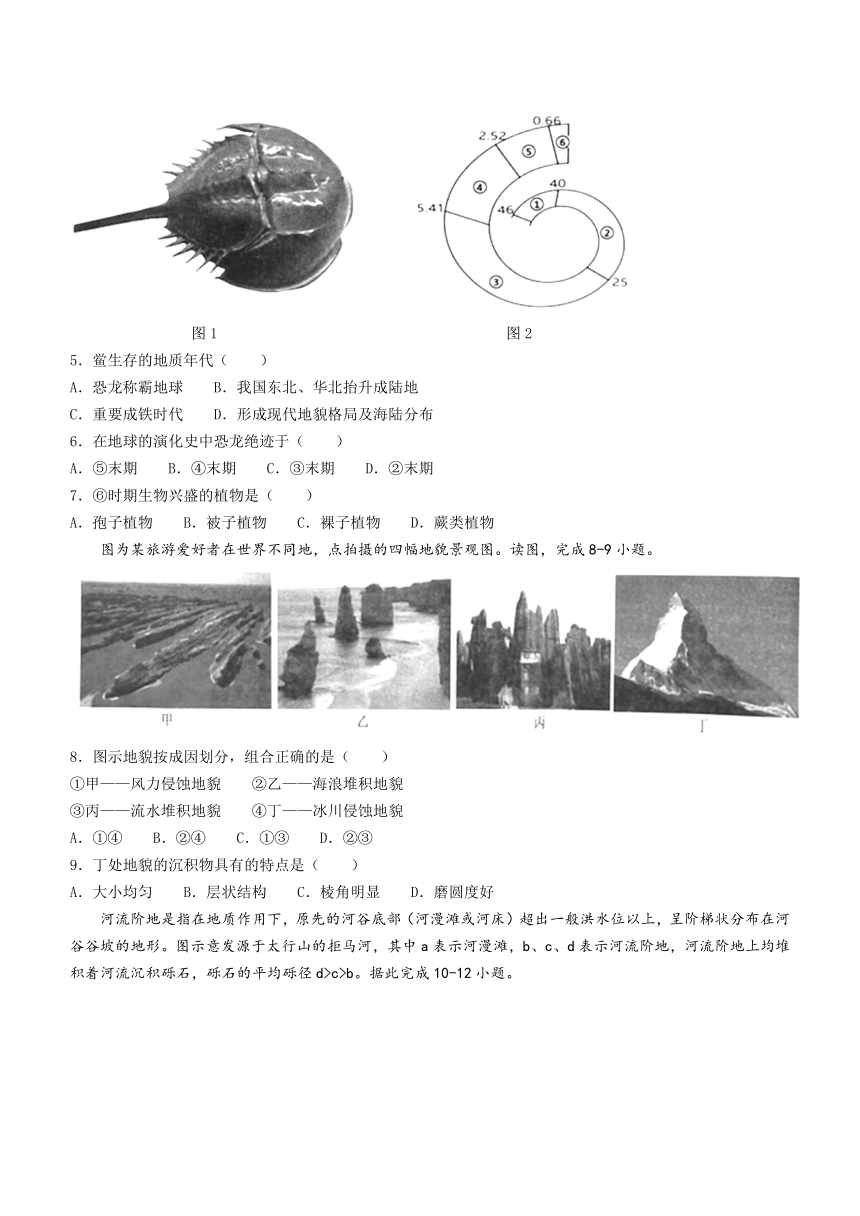 湖南省怀化市2023-2024学年高一上学期期中考试地理试题（含答案）