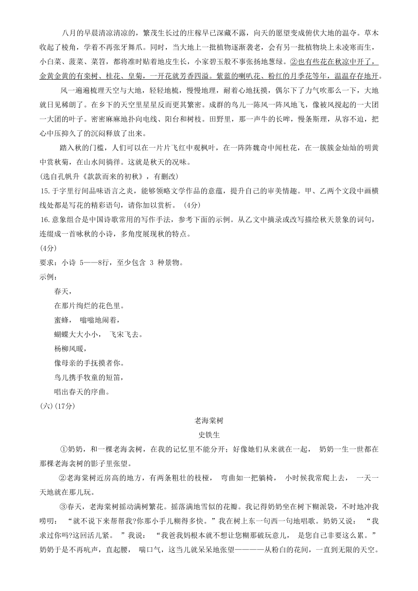 山东省庆云县2023-2024学年七年级上学期期中考试语文试题（含答案）
