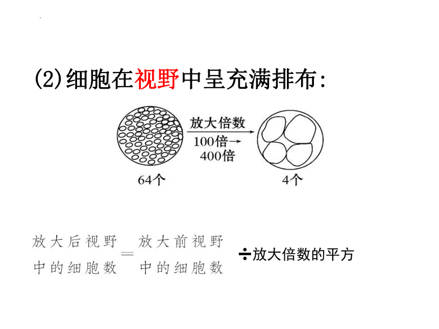 1.2细胞的多样性和统一性第2课时课件(共29张PPT)2023-2024学年高一上学期生物人教版必修1