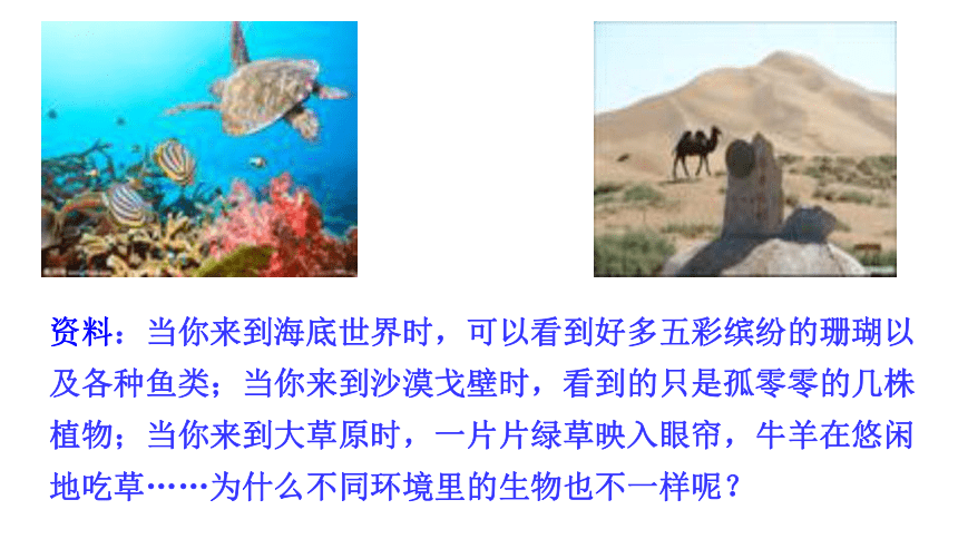 7.20.1 生物圈中的各种生态系统 课件(共38张PPT) 苏教版生物八年级上册