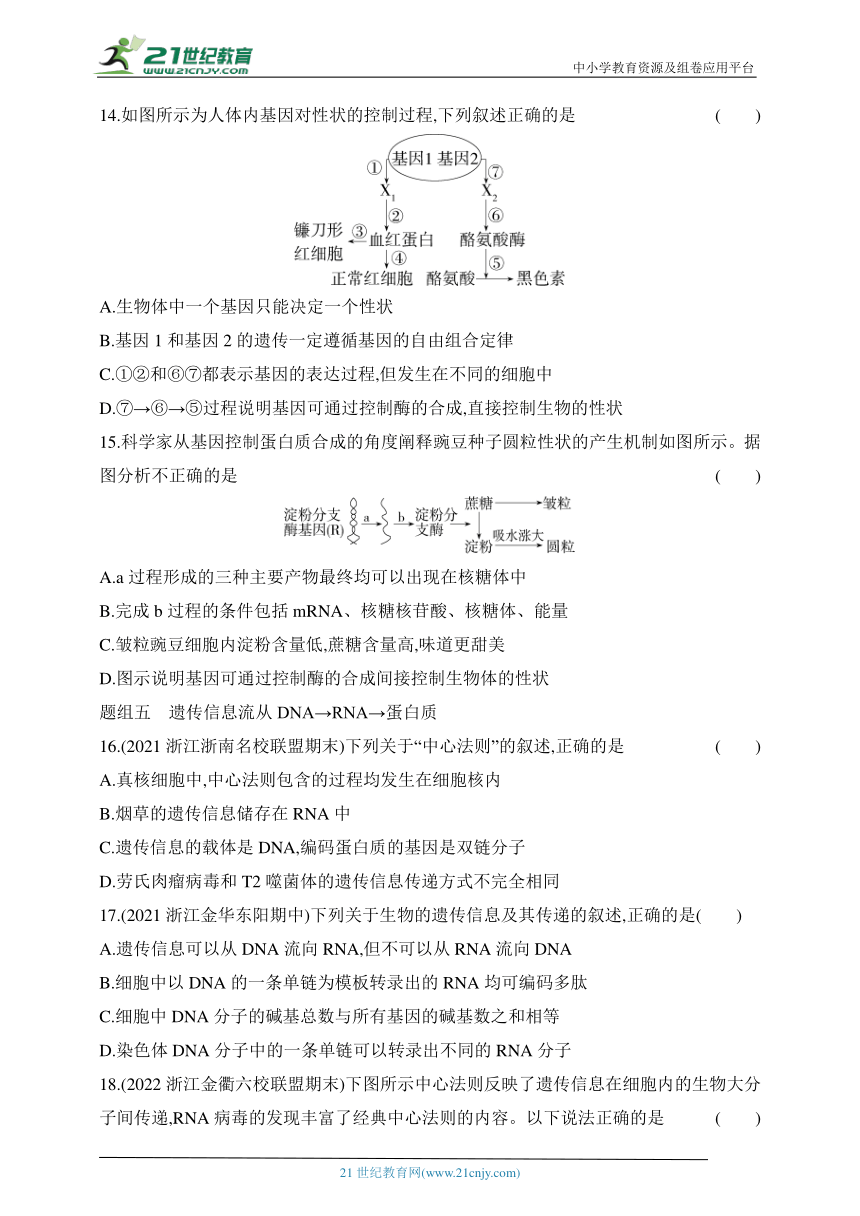 浙科版（2019）高中生物必修2同步练习题：3.4 基因控制蛋白质合成（含解析）