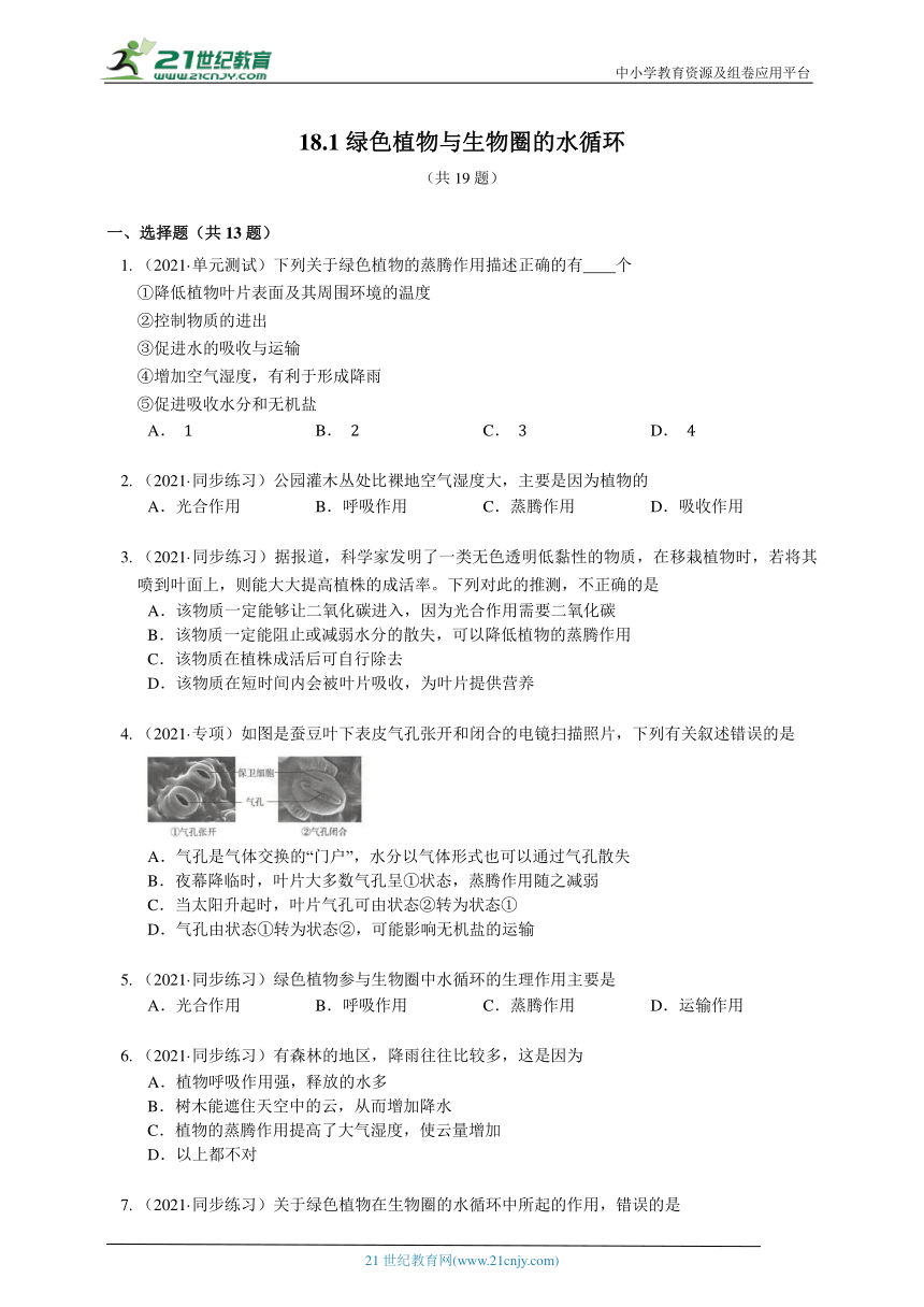 2023-2024学年初中生物苏科版八年级上册18.1绿色植物与生物圈的水循环同步练习（答案+解析）