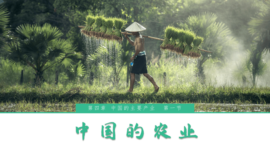 4.1 中国的农业 2023-2024学年八年级上册地理精品课件（湘教版）(共28张PPT)