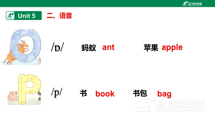 人教版(PEP) 小学英语三年级上册  单元知识点总结Unit 4-Unit 6 课件(共22张PPT)