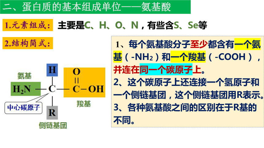 2.4蛋白质是生命活动的主要承担者课件（22张）-2023-2024学年高一上学期生物人教版（2019）必修1