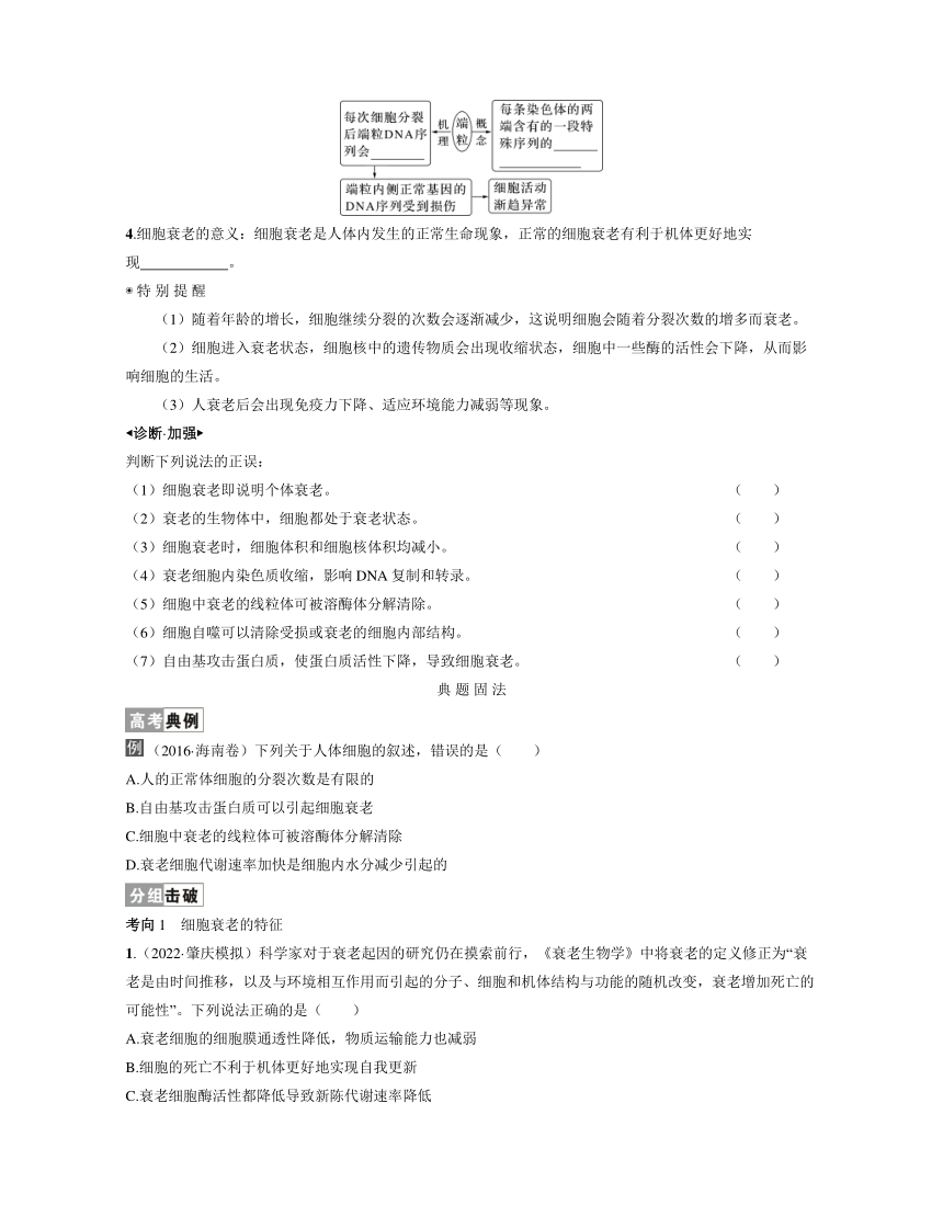新人教生物一轮复习学案：第16讲　细胞的分化、衰老和死亡（含答案解析）