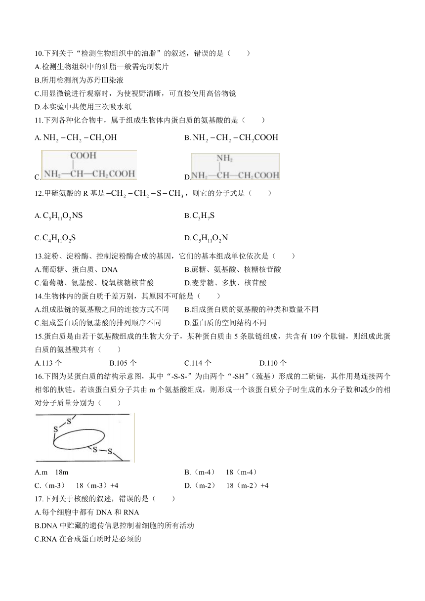 浙江省嘉兴市第三中学2023-2024学年高一上学期10月月考生物学试题（含答案）