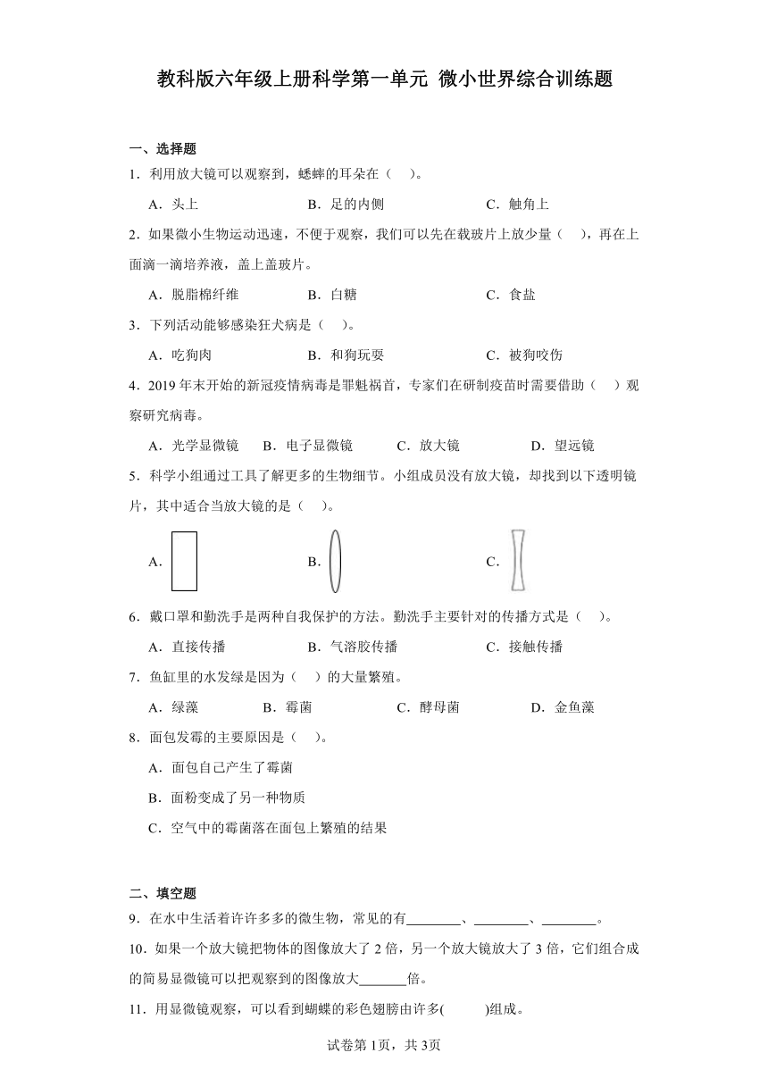 教科版六年级上册科学第一单元微小世界综合训练题（含答案）