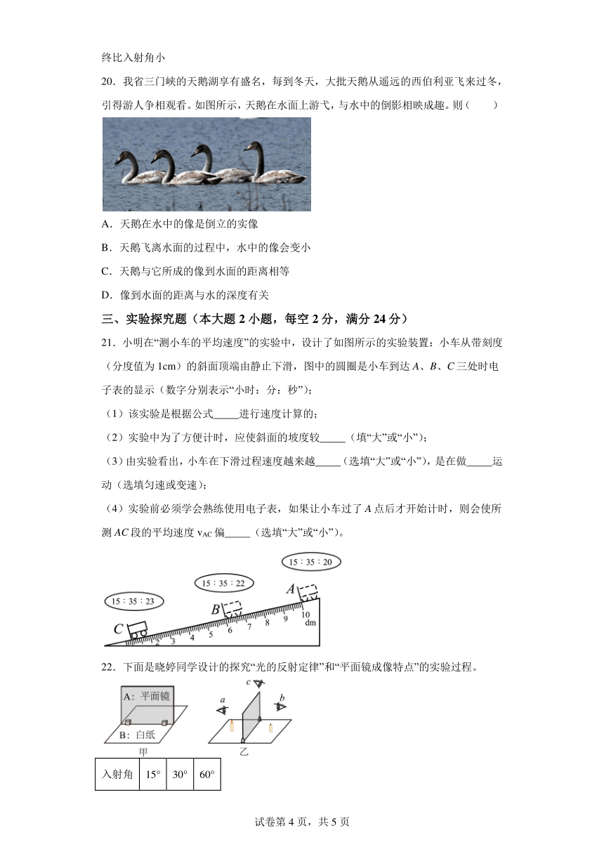 安徽省宿州市泗县2023-2024学年八年级上学期11月期中物理试题（word版含解析）