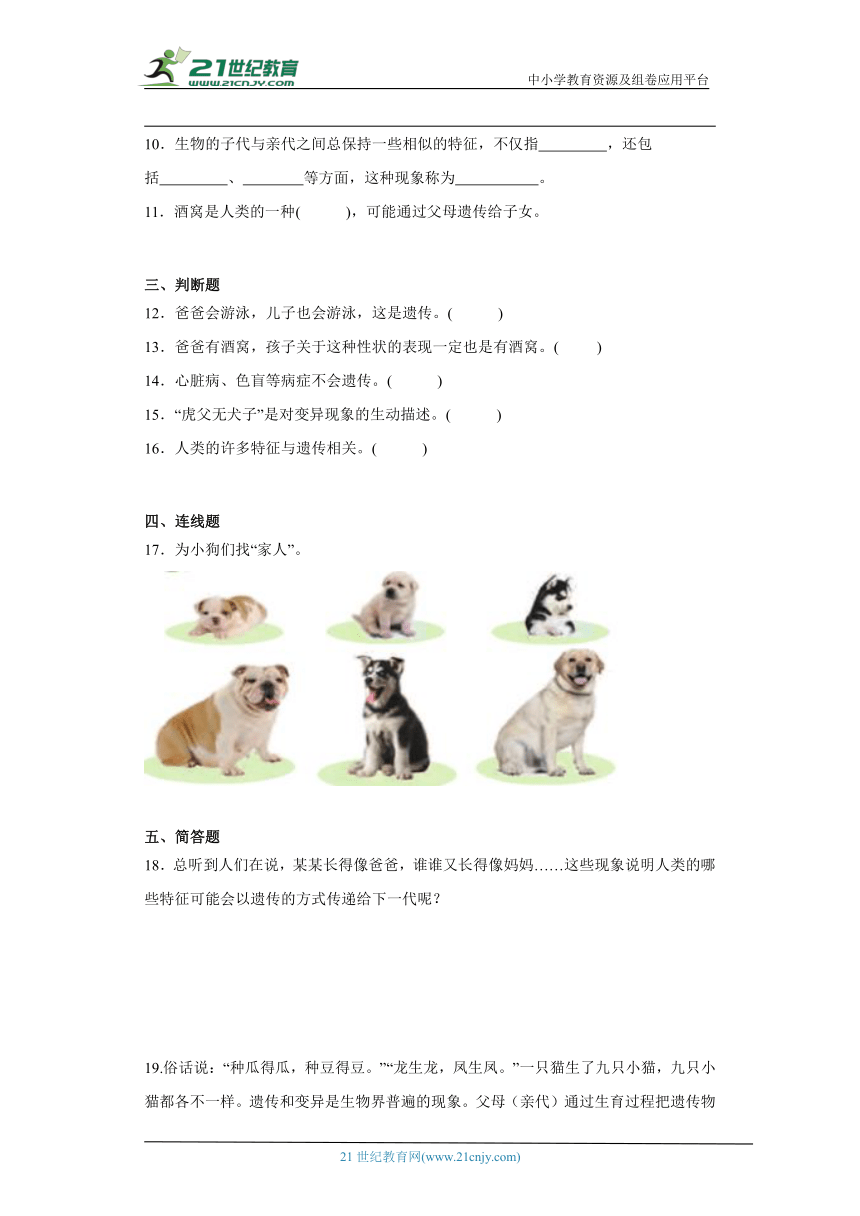 苏教版六年级上册科学2.5 生物的遗传 同步训练（含答案）