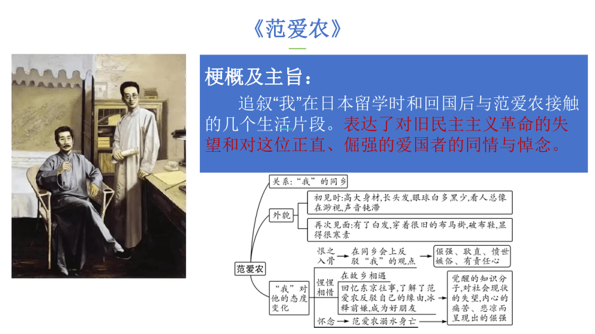 七年级语文上册第三单元名著导读《朝花夕拾》复习课件(共59张PPT)