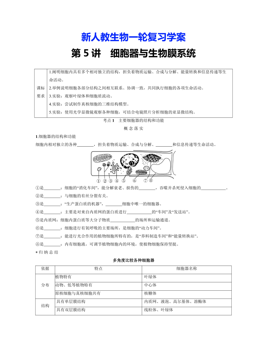 新人教生物一轮复习学案：第5讲　细胞器与生物膜系统（含答案解析）