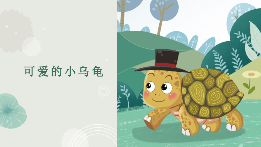 美术社团课程《 可爱的小乌龟》课件(共24张PPT) 小学延时服务