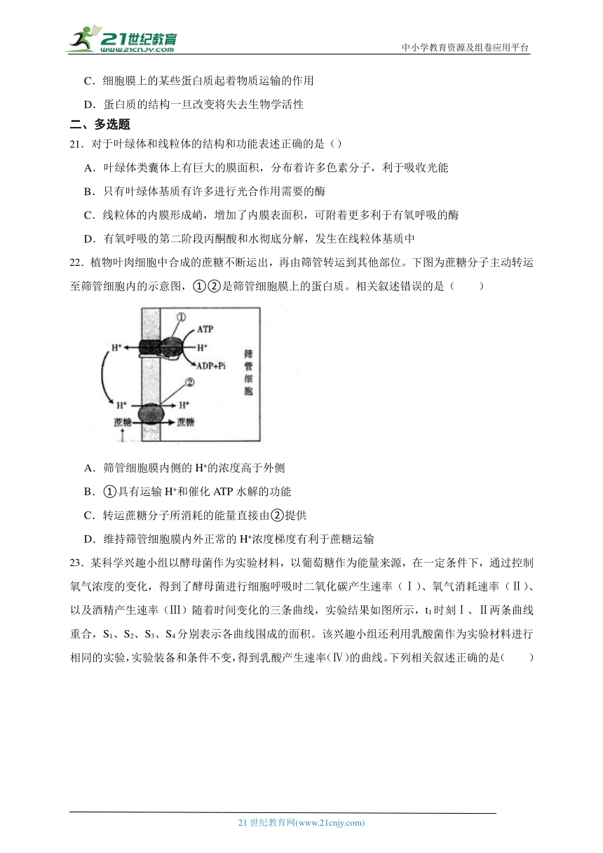 2023-2024学年高中生物沪科版（2019）高一上学期期末测试模拟卷（含解析）