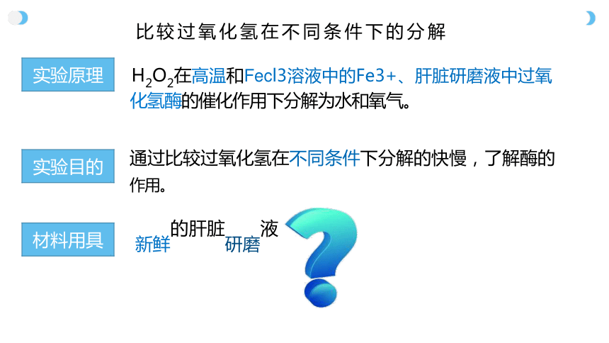 5.1 低化学反应活化能的酶 课件（第一课时）高一生物学（人教版2019必修1）（共19张PPT）