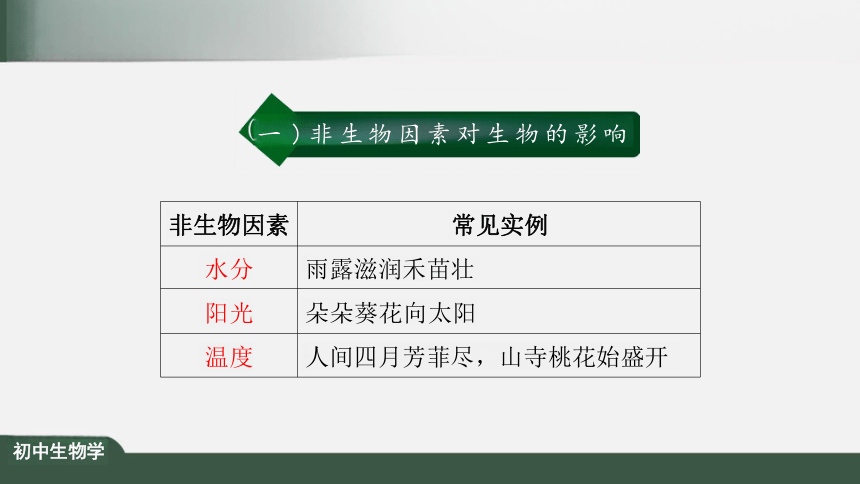 1.2.1 生物与环境的关系 课件（共25张PPT）