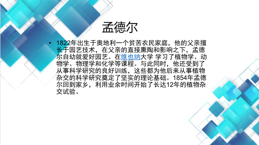 11.1生物的性状表现课件(共22张PPT)2023-2024学年北京版生物八年级上册