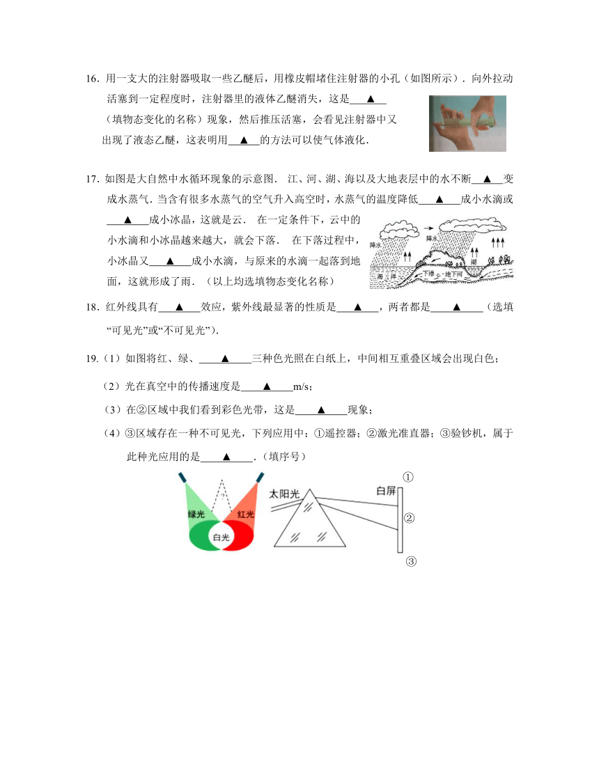 江苏省南京市联合体2023-2024学年八年级上学期期中调研物理试卷（含答案）