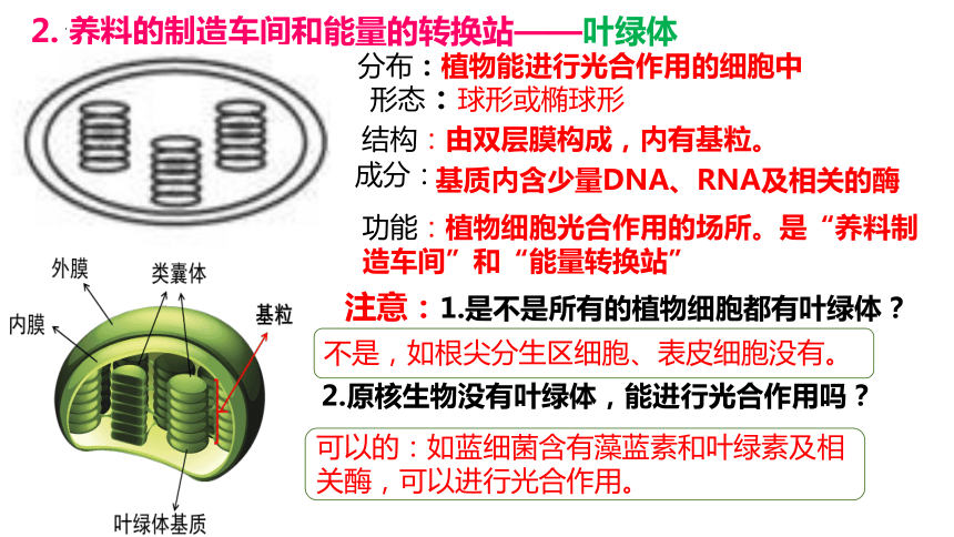 3.2细胞器之间的分工合作第1课时课件(共35张PPT1份视频)2023-2024学年高一上学期生物人教版必修1