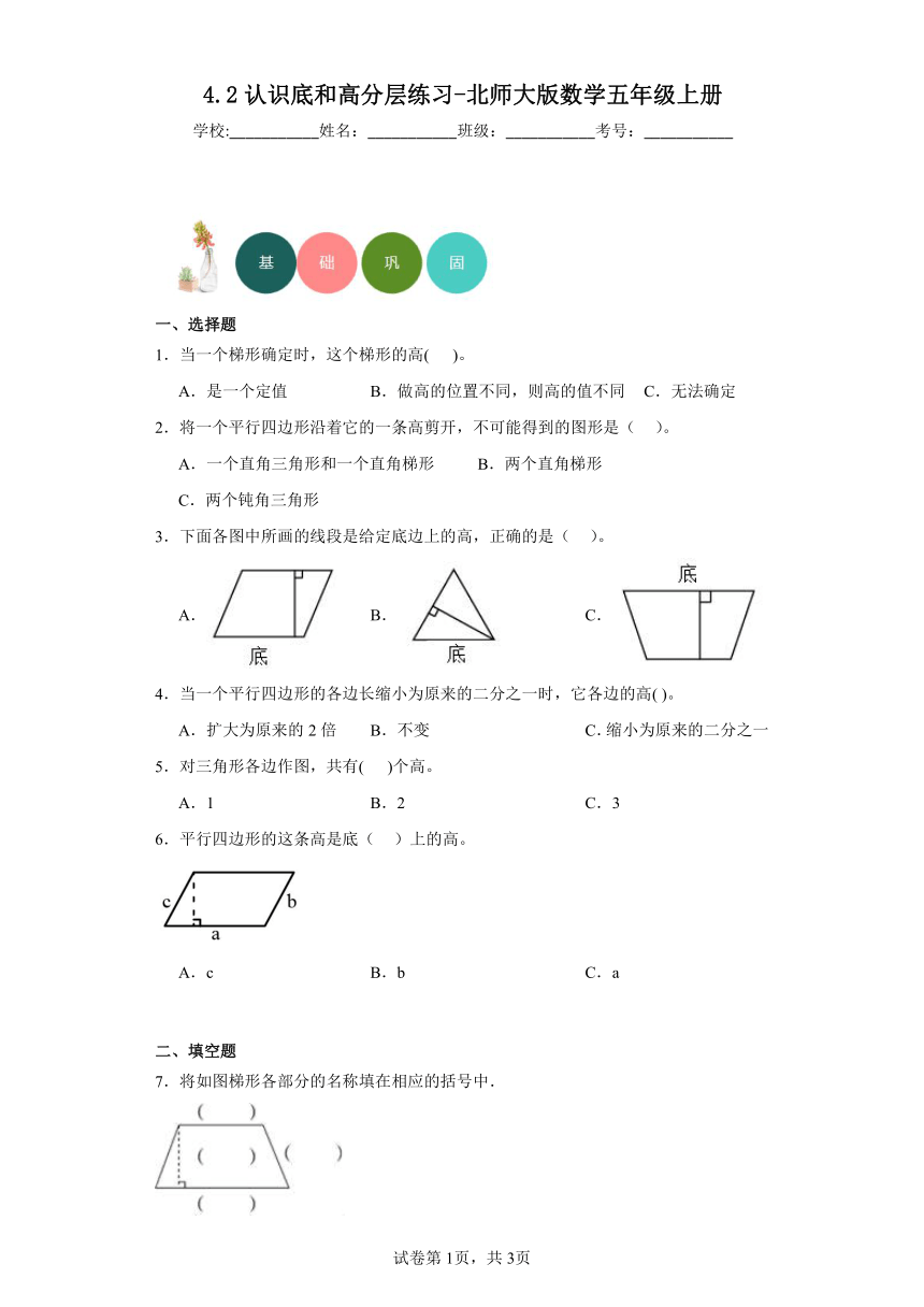 4.2认识底和高分层练习（含答案）北师大版数学五年级上册