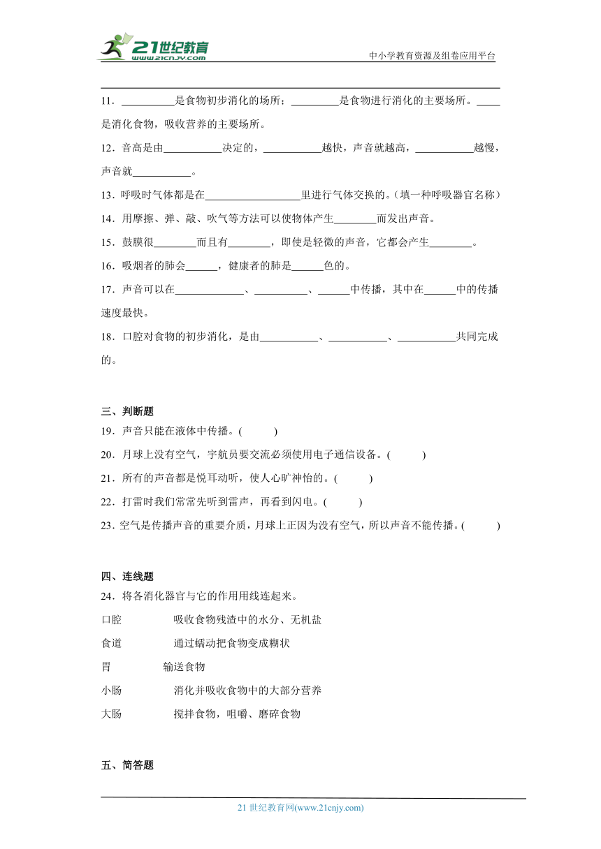 教科版四年级上册科学期中综合训练题（含答案）