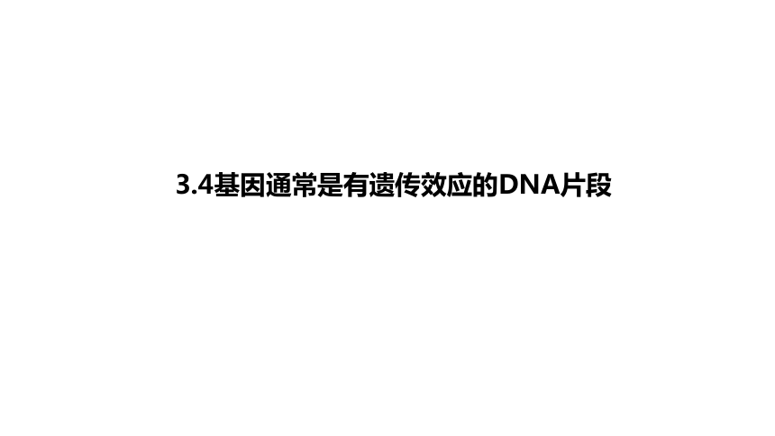 3.4基因通常是有遗传效应的DNA片段课件（25张）2022-2023学年高一下学期生物人教版必修2