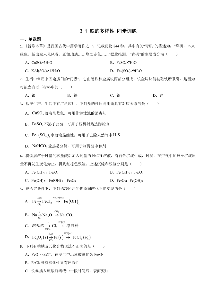 3.1 铁的多样性 同步训练（含解析）2023-2024学年高一上学期化学鲁科版（2019）必修第一册