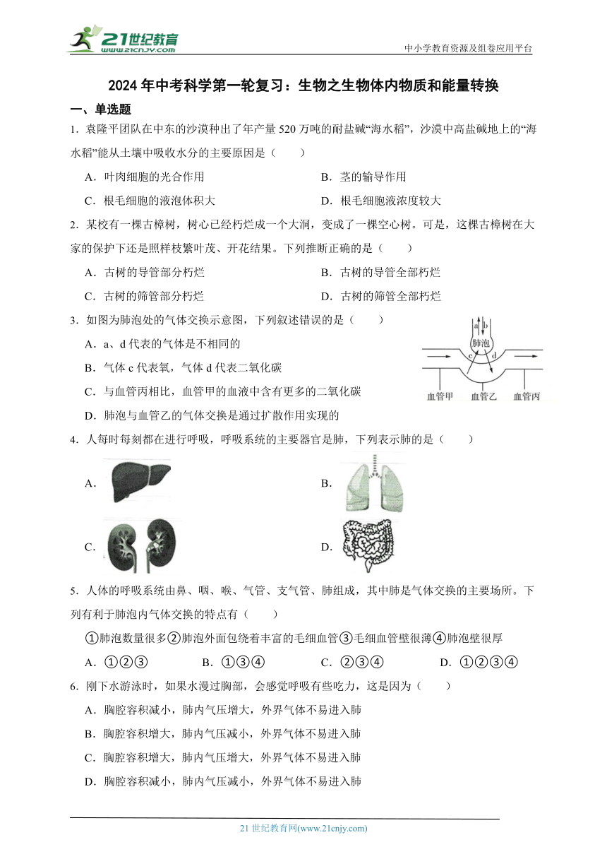 2024年中考科学第一轮复习：生物之生物体内物质和能量转换