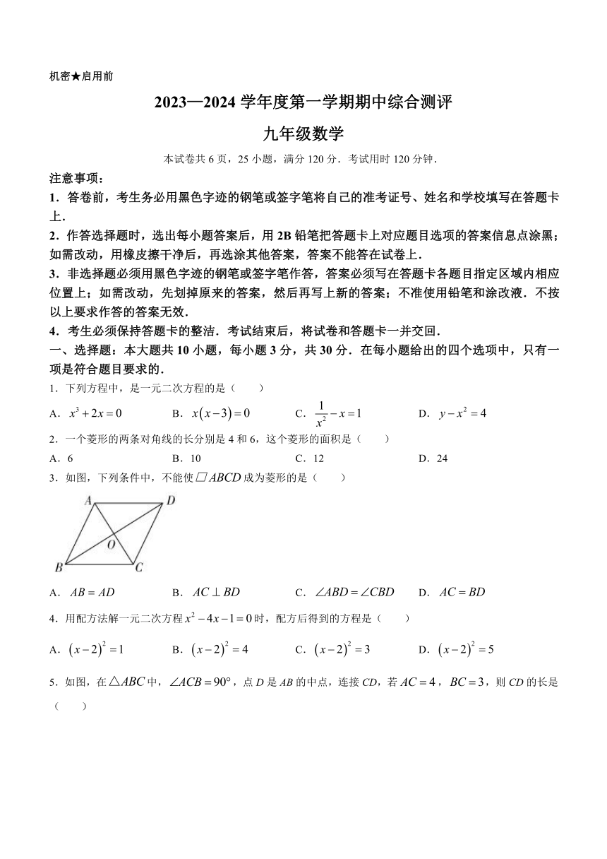 广东省河源市紫金县2023-2024学年九年级上学期期中数学试题（含答案）