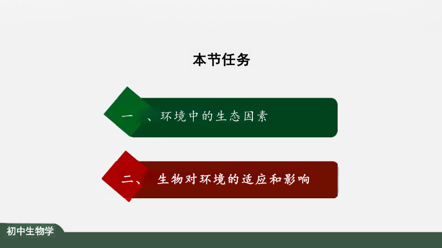 1.2.1 生物与环境的关系 课件（共25张PPT）