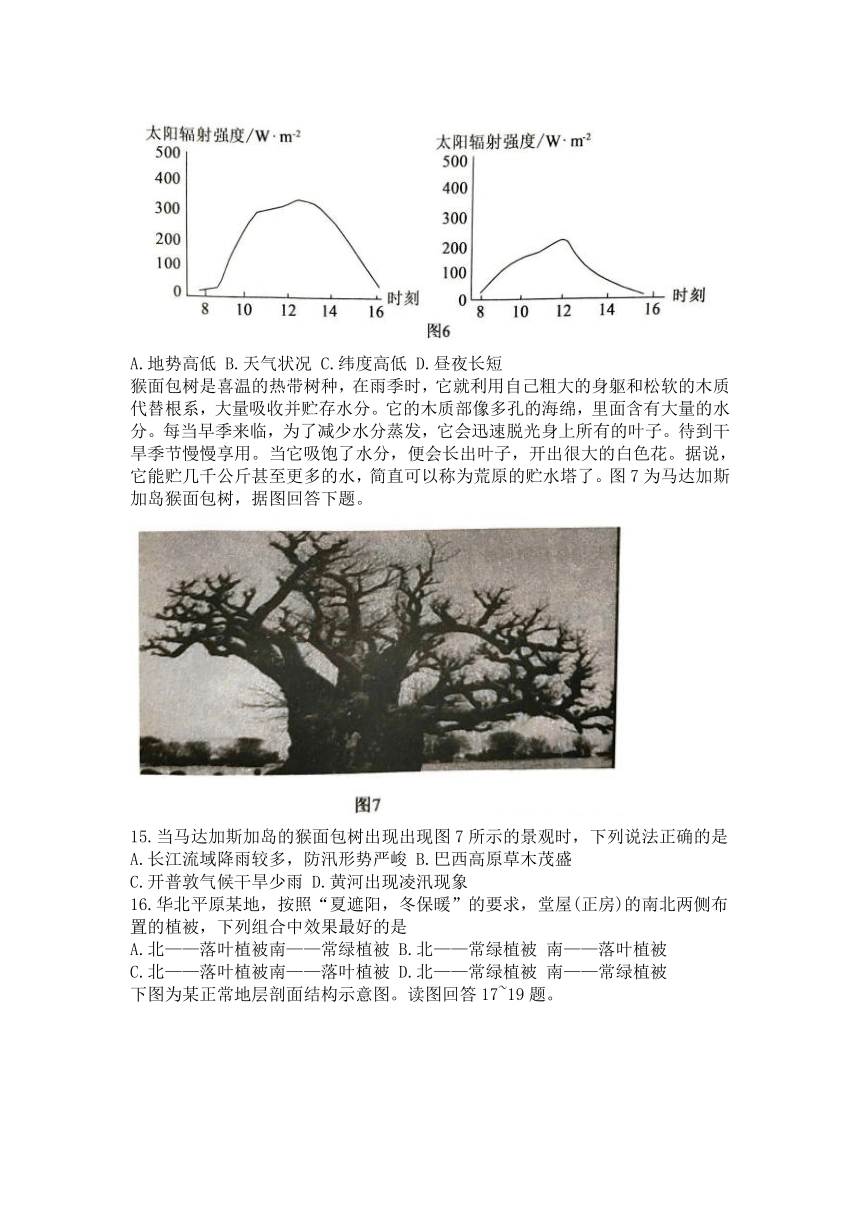 山东省聊城市2023-2024学年高一上学期11月期中考试地理试题（含答案）