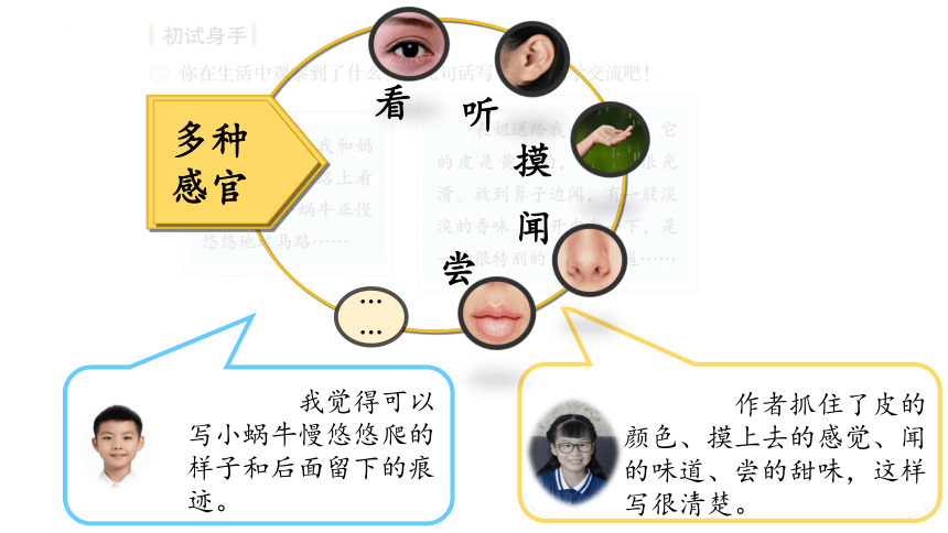 统编版语文三年级上册第五单元 习作例文 课件 (共18张PPT)