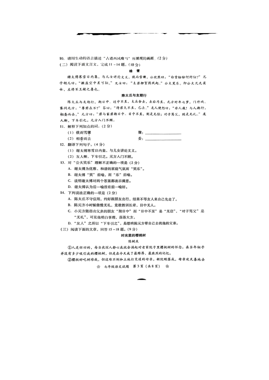 湖南省衡阳市衡南县2023-2024学年七年级上学期11月期中语文试题（图片版，含答案）