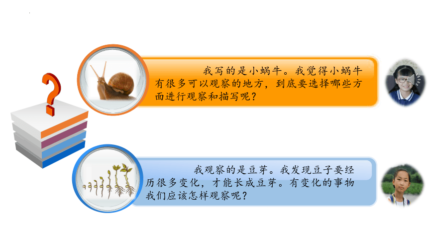 统编版语文三年级上册第五单元 习作例文 课件 (共18张PPT)