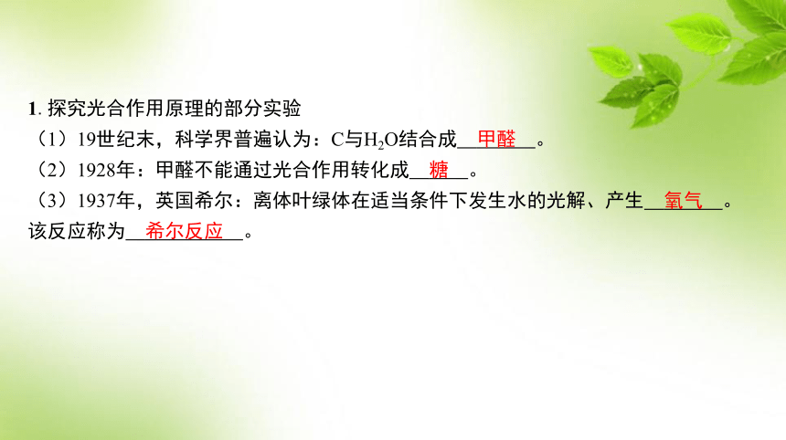 课件预览