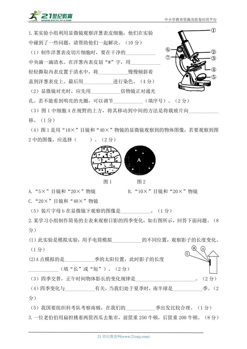 六年级科学上册（教科版）期末综合测试卷（三）（含答案）